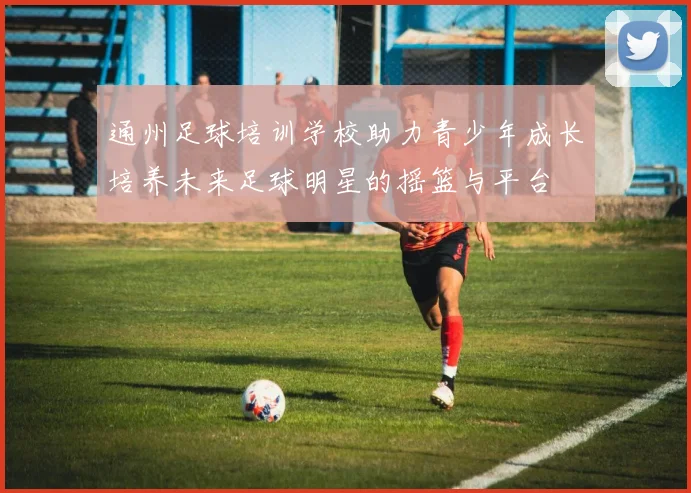 通州足球培训学校助力青少年成长培养未来足球明星的摇篮与平台
