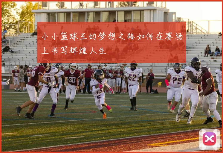 小小篮球王的梦想之路如何在赛场上书写辉煌人生