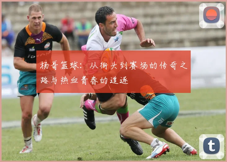 杨哥篮球：从街头到赛场的传奇之路与热血青春的追逐