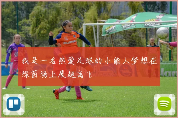 我是一名热爱足球的小能人梦想在绿茵场上展翅高飞